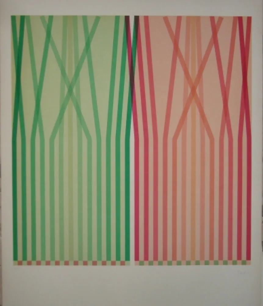 Lithograph Sempere - Se2