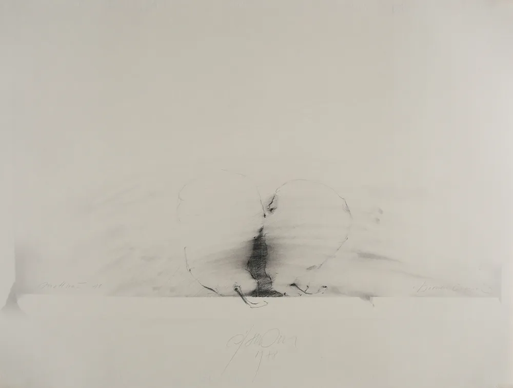 No Technical Sensen - Mettnau 11.  Birnen-vaginal