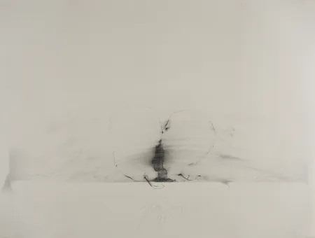 No Technical Sensen - Mettnau 11.  Birnen-vaginal