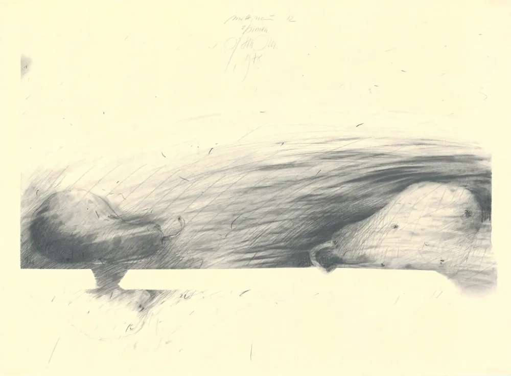 No Technical Sensen - Mettnau 12 — 2 Birne