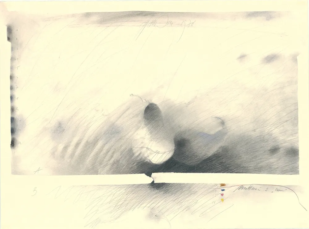 No Technical Sensen - Mettnau 2 — Birne