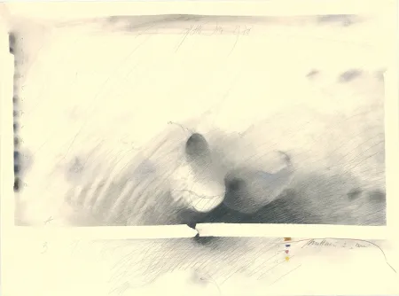 No Technical Sensen - Mettnau 2 — Birne