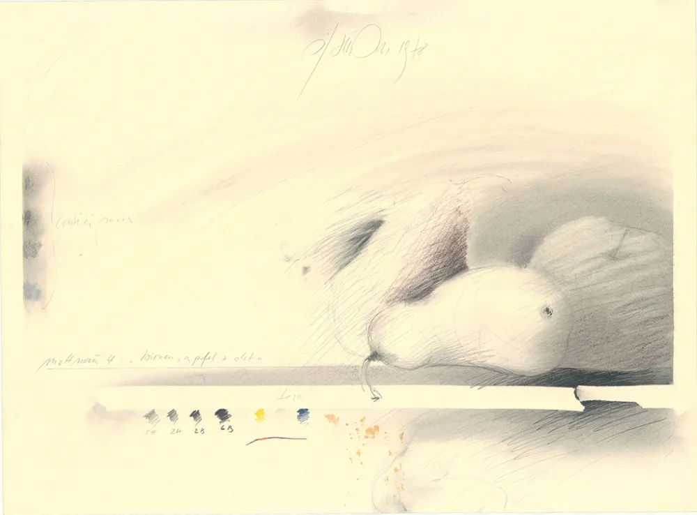 No Technical Sensen - Mettnau 4—Birnen, Apfel + Akt