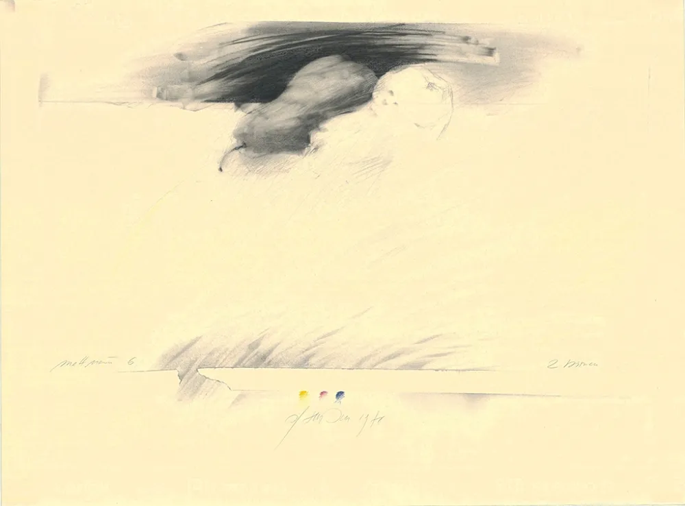 No Technical Sensen - Mettnau 6— 2 Birnen