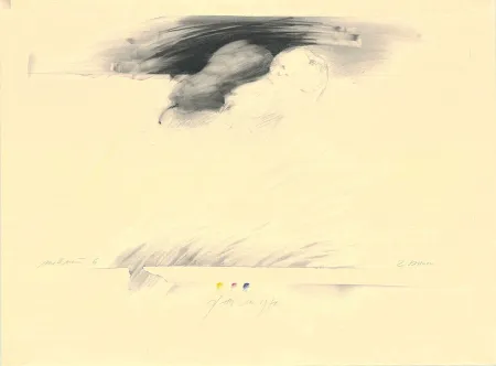 No Technical Sensen - Mettnau 6— 2 Birnen