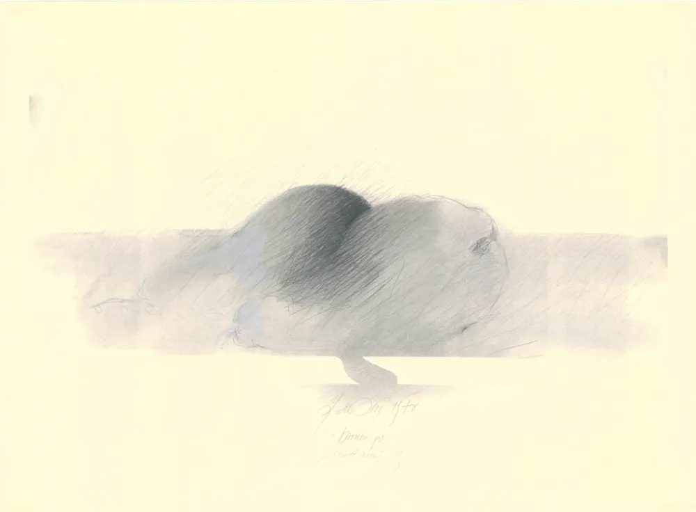 No Technical Sensen - Mettnau 9.  Birnen po