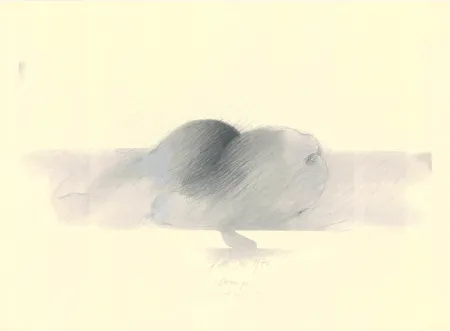 No Technical Sensen - Mettnau 9.  Birnen po