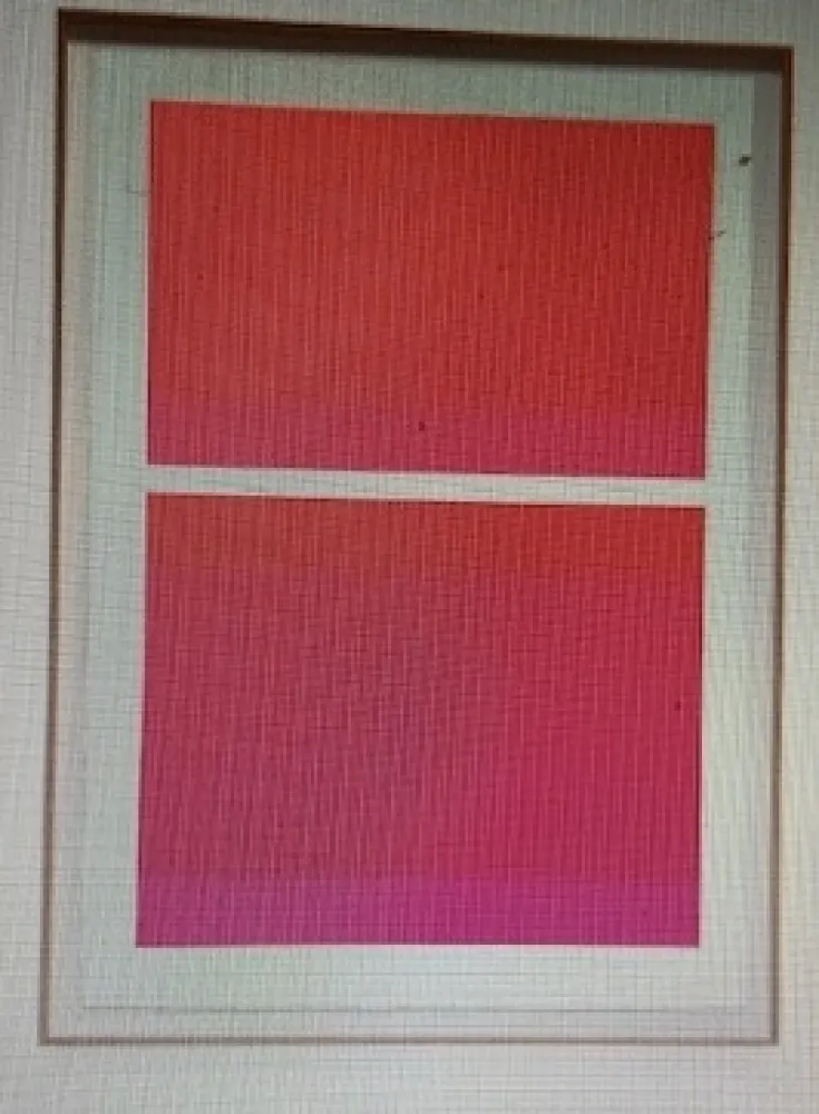 Screenprint Shepherd - State Theater on Bikini Pink