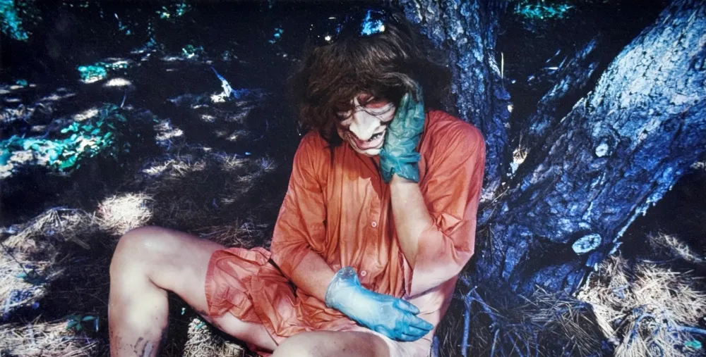 Photography Sherman - Untitled (Witch)