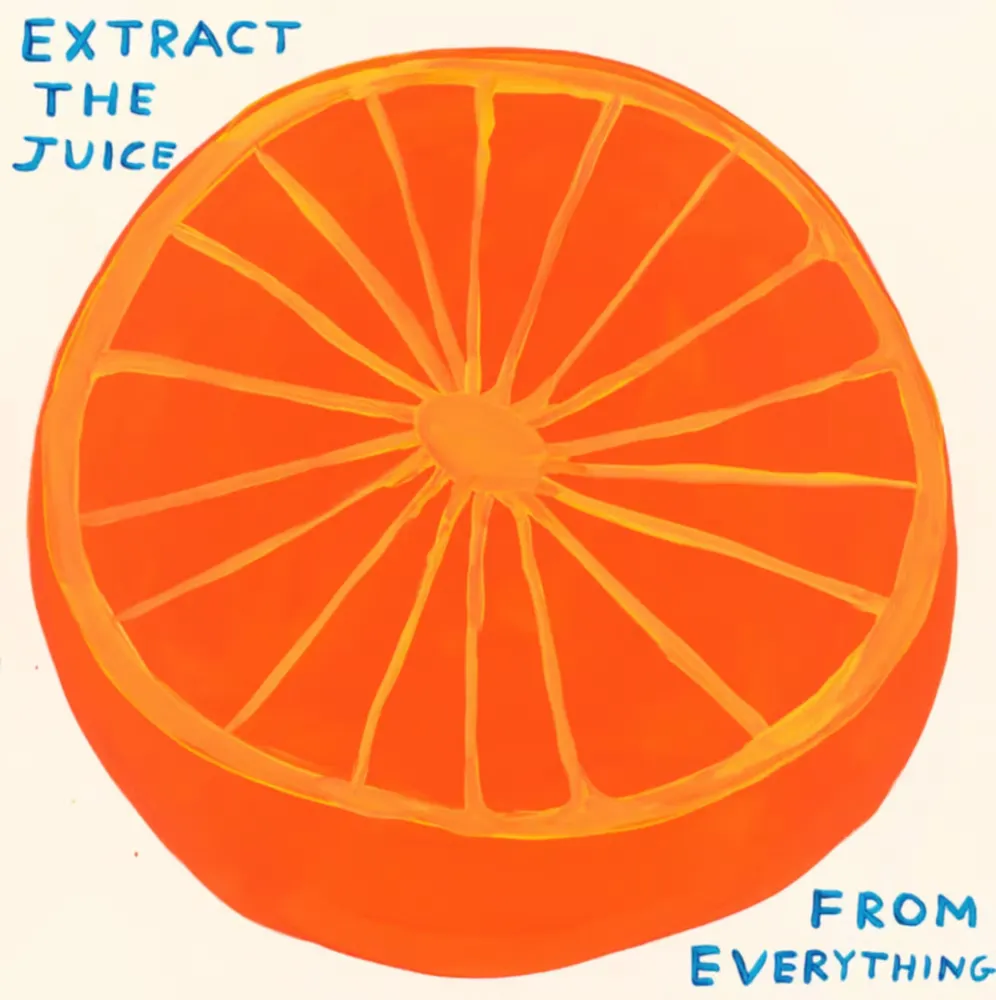 Screenprint Shrigley - Extract The Juice