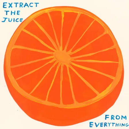 Screenprint Shrigley - Extract The Juice