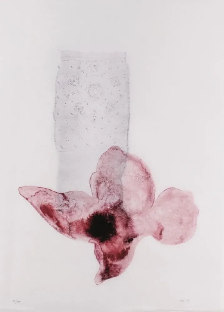 Lithograph Sicilia - Composición (Flor)