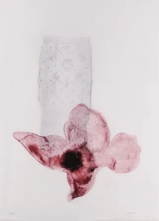 Lithograph Sicilia - Composición (Flor)