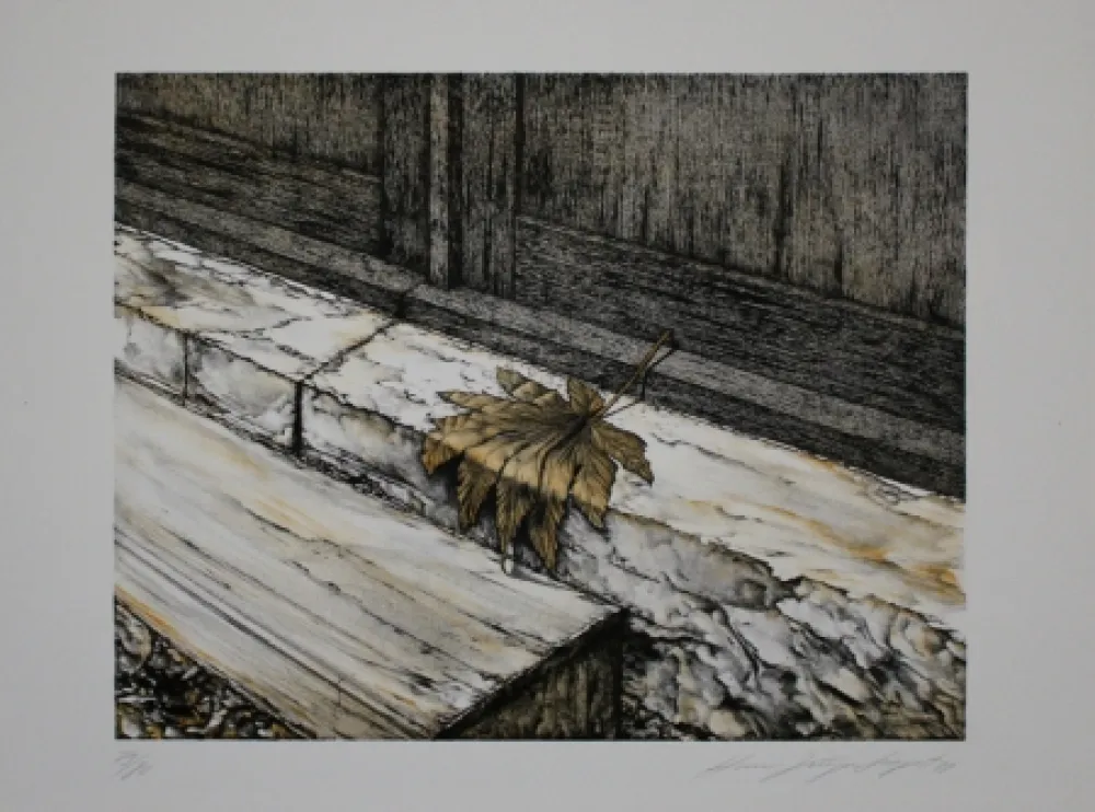 Lithograph Siegert - Ahornblatt / Maple Leaf