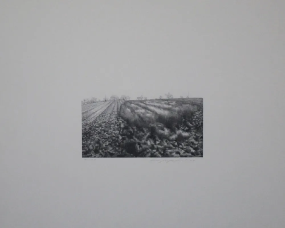 Lithograph Siegert - Landschaft