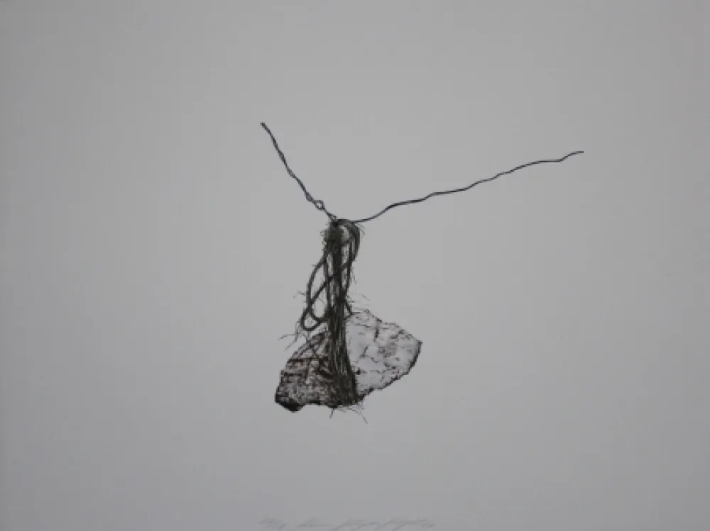 Lithograph Siegert - Stein / Rock