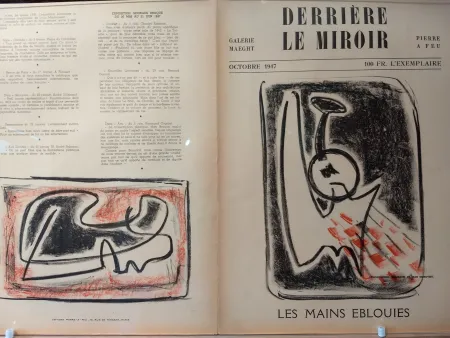 Illustrated Book Signovert - DLM no5