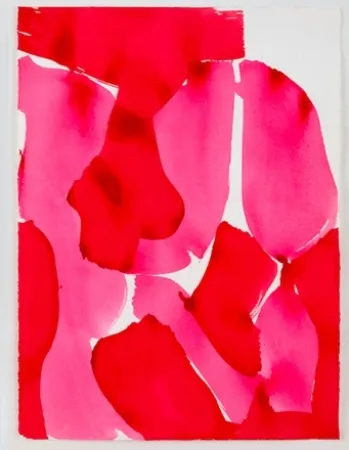 Aquatint Sillman - Pink Pink Pink Black 1