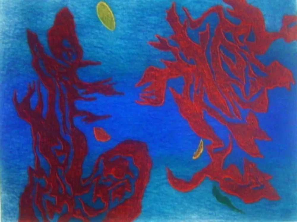 Aquatint Singier - Aquathème