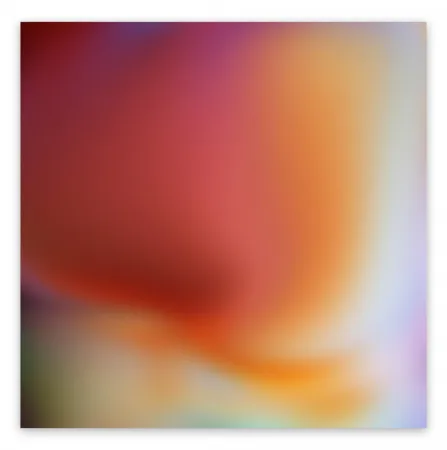 Photography Snell - Bleed # 202009