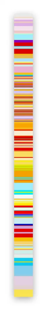 Photography Snell - Lumina # 201603