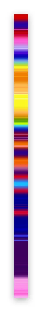 Photography Snell - Lumina # 202101 