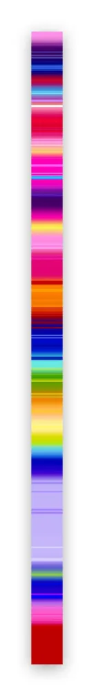 Photography Snell - Lumina # 202102