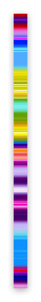 Photography Snell - Lumina # 202103