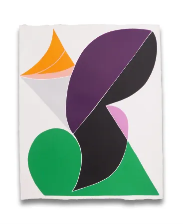 No Technical Snow - Finite Field