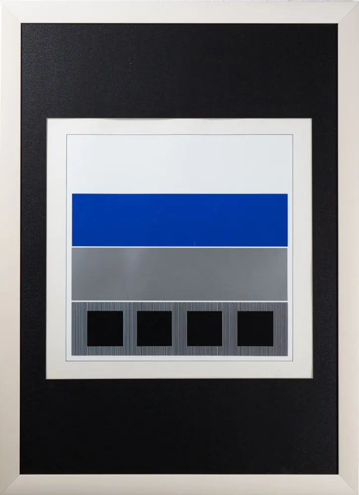 Screenprint Soto - Caroni