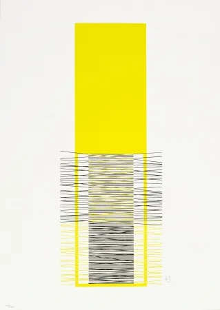 Screenprint Soto - Caroni (Yellow)