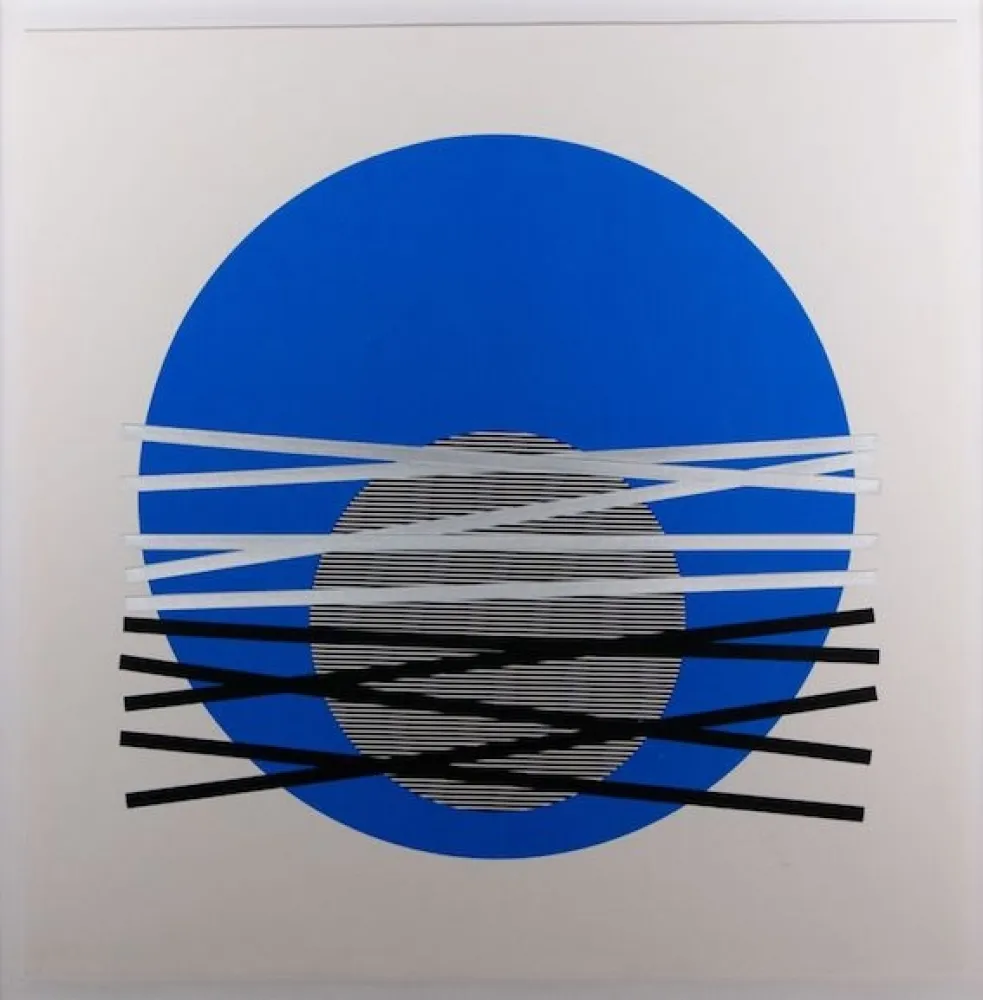 Screenprint Soto - Composición