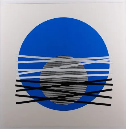 Screenprint Soto - Composición