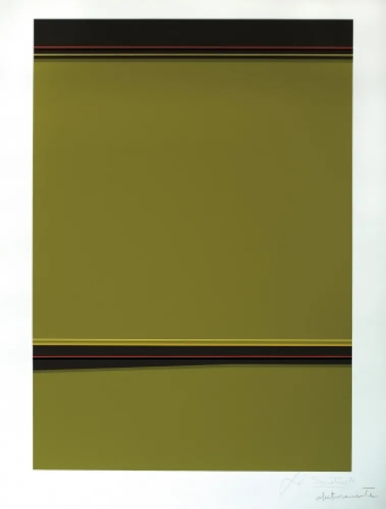 Screenprint Soto - Composición