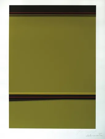 Screenprint Soto - Composición