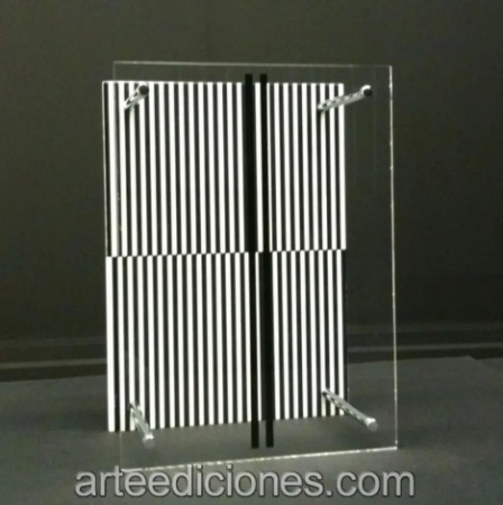 No Technical Soto - Museo Moltiplicato / Permutation