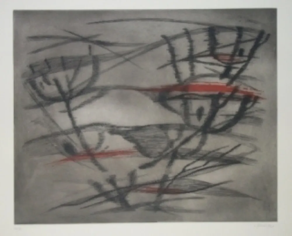 Etching And Aquatint Springer - Plante lunaire