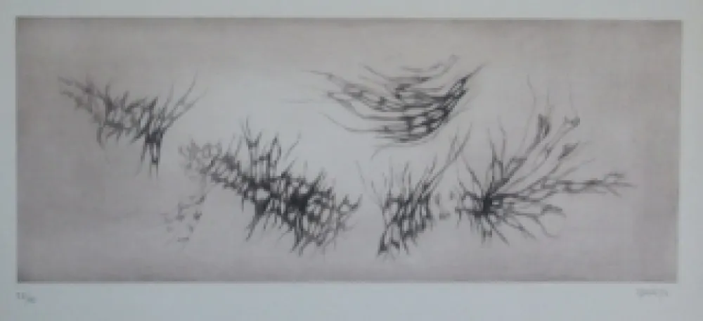 Etching And Aquatint Springer - Racines