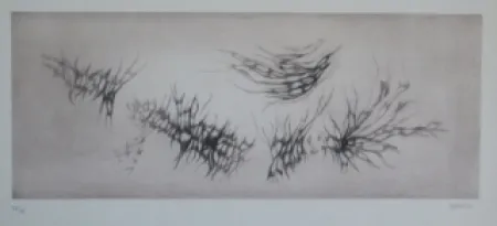 Etching And Aquatint Springer - Racines