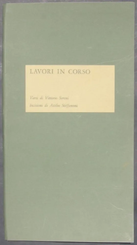Illustrated Book Steffanoni - Lavori in corso