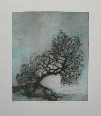 Etching And Aquatint Steidle - Essener Landschaft Heidhausen