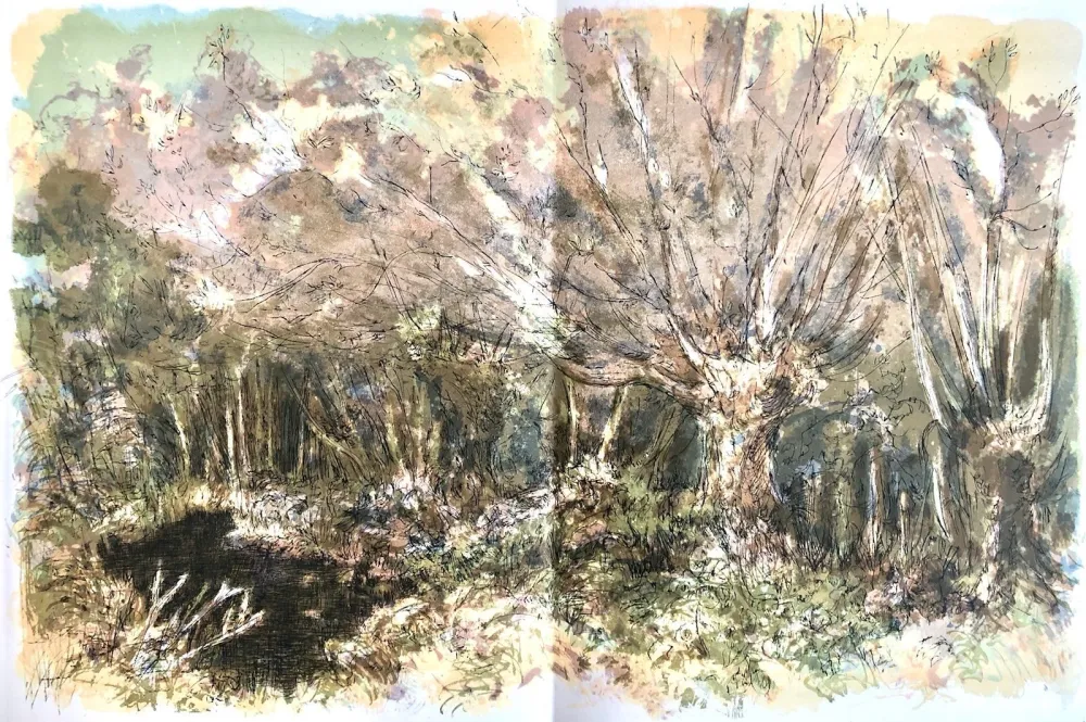 Lithograph Steinlen - Forêt voisine