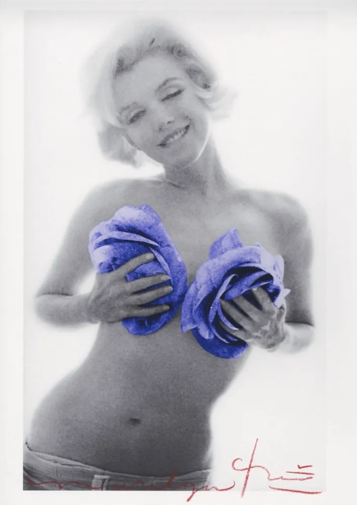 Multiple Stern - Marilyn Monroe purple wink roses