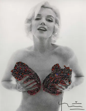 Photography Stern - Marilyn Red Classic Charcoal Roses