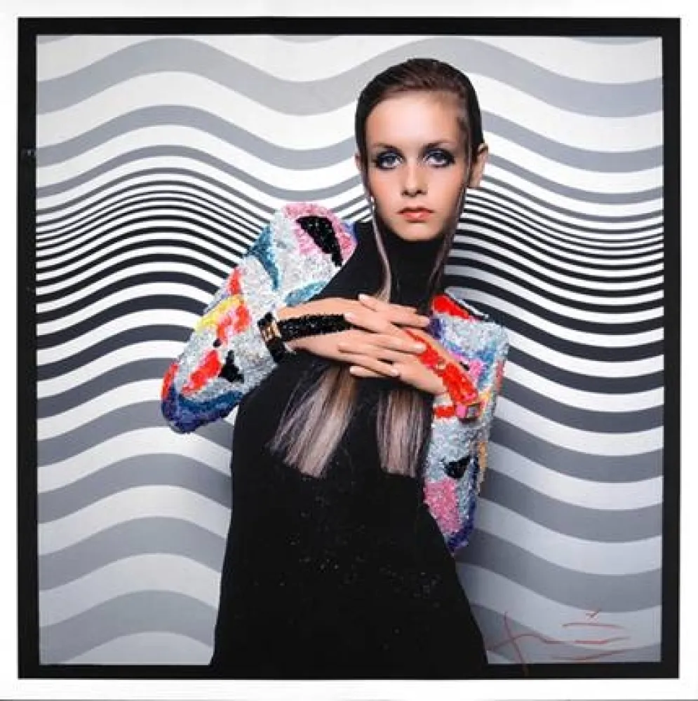 Photography Stern - Twiggy