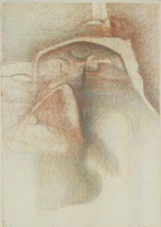 Illustrated Book Stradella  - Vedo coi loro occhi ciechi