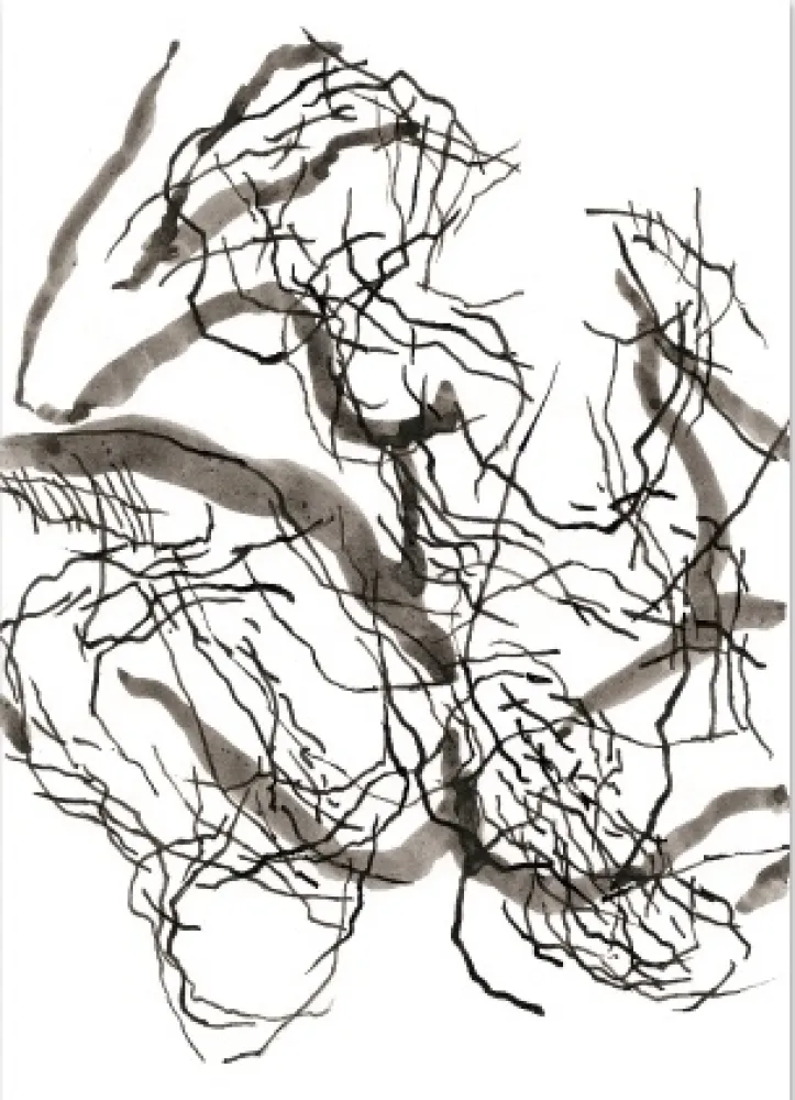 Numeric Print Strugalla - Nu (Collection Naked)