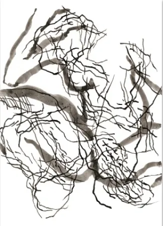 Numeric Print Strugalla - Nu (Collection Naked)