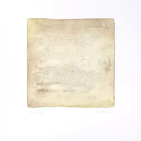 Etching Su - Inactness B