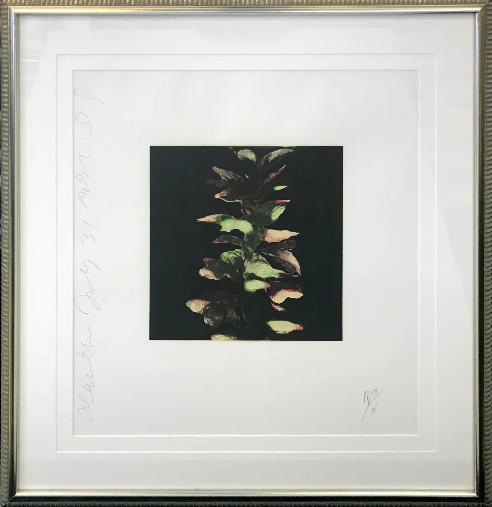 Screenprint Sultan - ACANTHUS